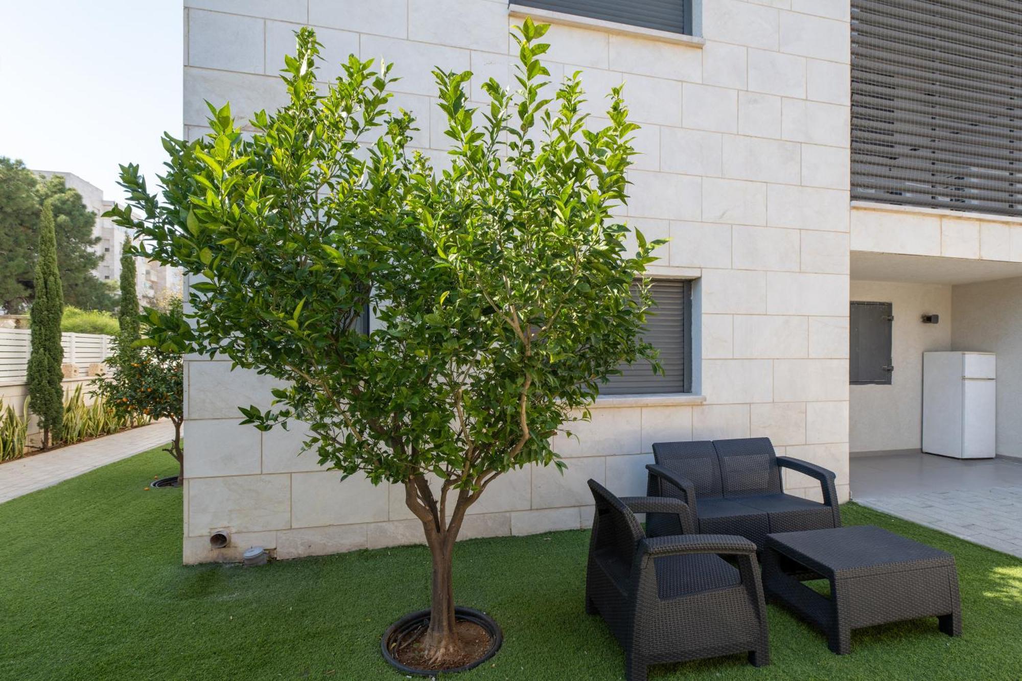 Balfour Sea View City Center Nahariya Bagian luar foto